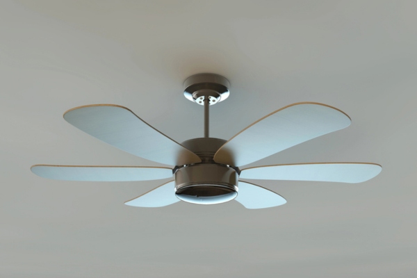 home ceiling fan