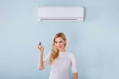 https://www.pointbayfuel.com/wp-content/uploads/image-of-a-ductless-mini-split-system-390x260.jpg