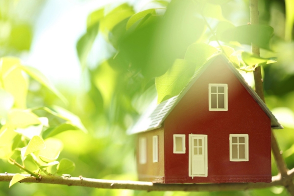 miniature house by the tree depicting sustainability and energy efficiency